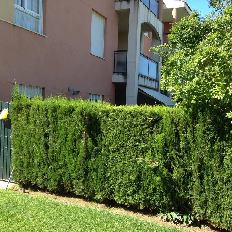 Divi Apartments Costa Ballena Exterior foto